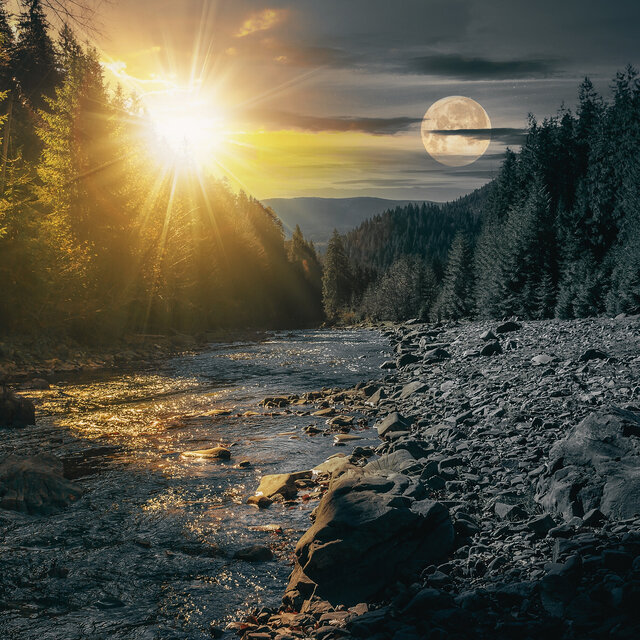 Day and Night