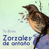 Bajo Cenizas
