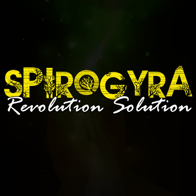 Revolution Solution