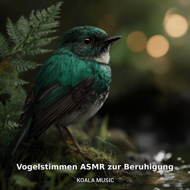 Vogelstimmen ASMR zur Beruhigung