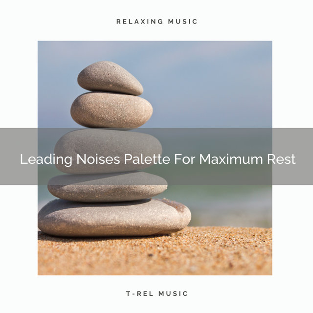 Leading Noises Palette For Maximum Rest