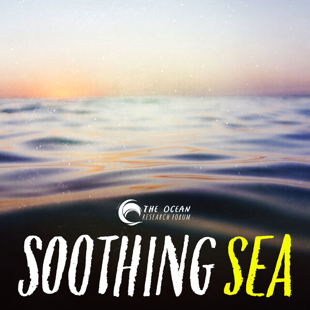 Soothing Sea