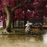 ในวันฝนตกเธอยังคงหวนคิดคำนึงถึงวันเก่าก่อนไม่แปรเปลี่ยน