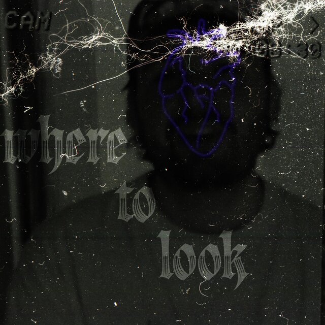 Where to look