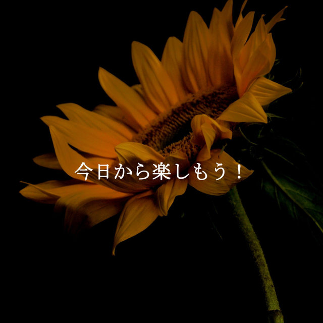 今日から楽しもう！