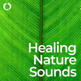 Tranquil Heal Sounds