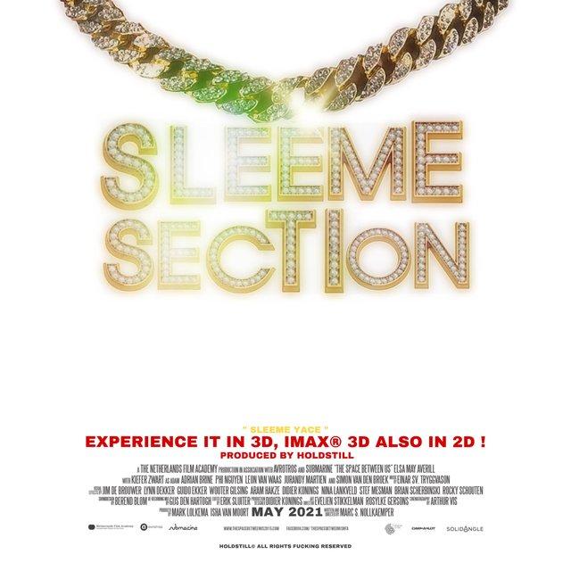 Sleeme Section