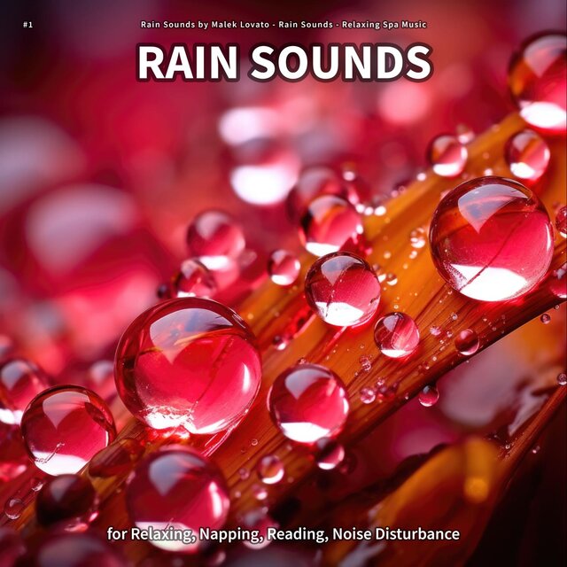 #1 Rain Sounds for Relaxing, Napping, Reading, Noise Disturbance