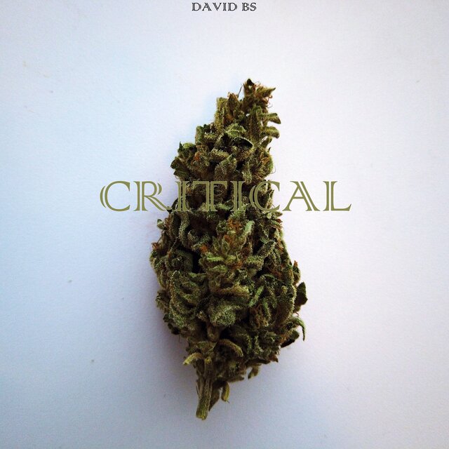 CRITICAL
