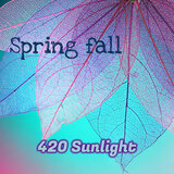 Spring Fall
