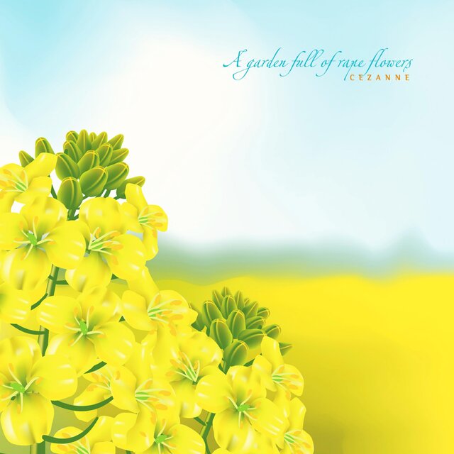 A garden full of rape flowers