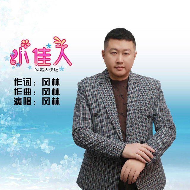 小佳人 (DJ赵大侠版)
