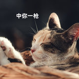 中你一枪