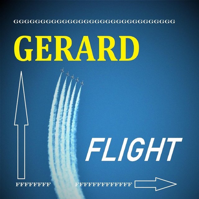 Flight