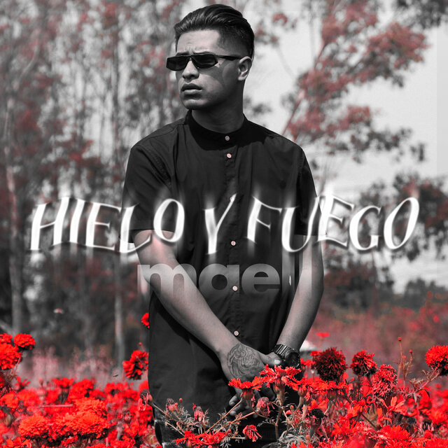 Hielo y Fuego