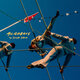 Cover art for album Acrobats by Sondre Lerche