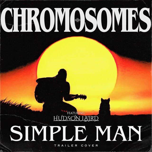 Simple Man (feat. Hudson Laird) [Trailer Cover]