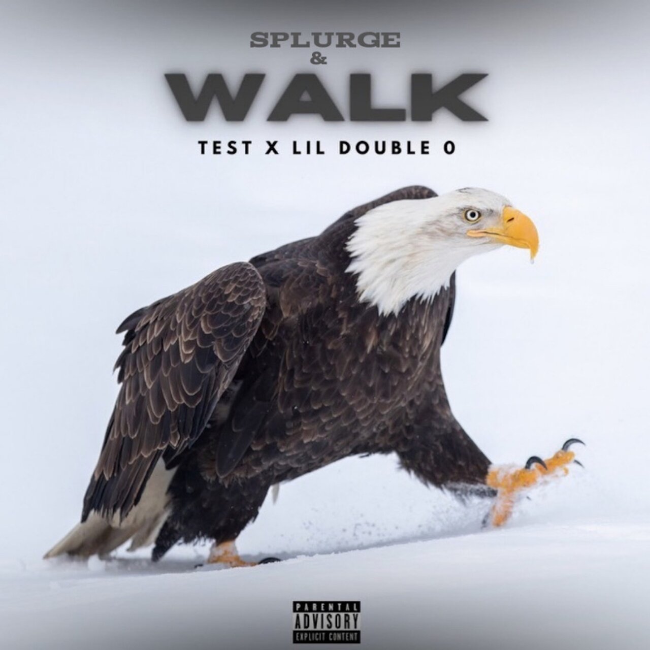 lil double 0 on TIDAL