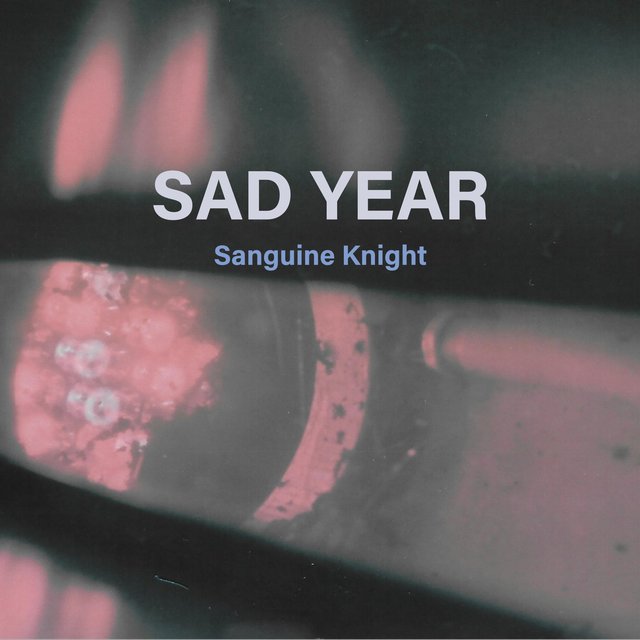 Sad Year