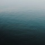 Noiseless Part 10