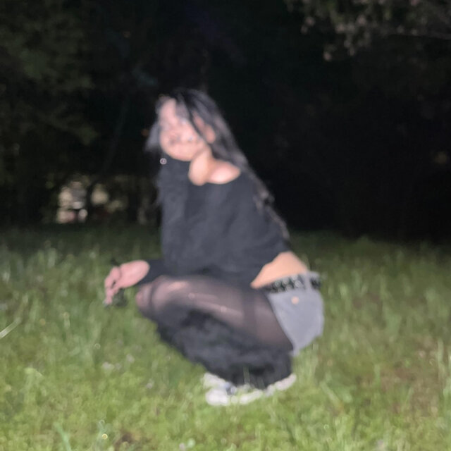 lipsva mi