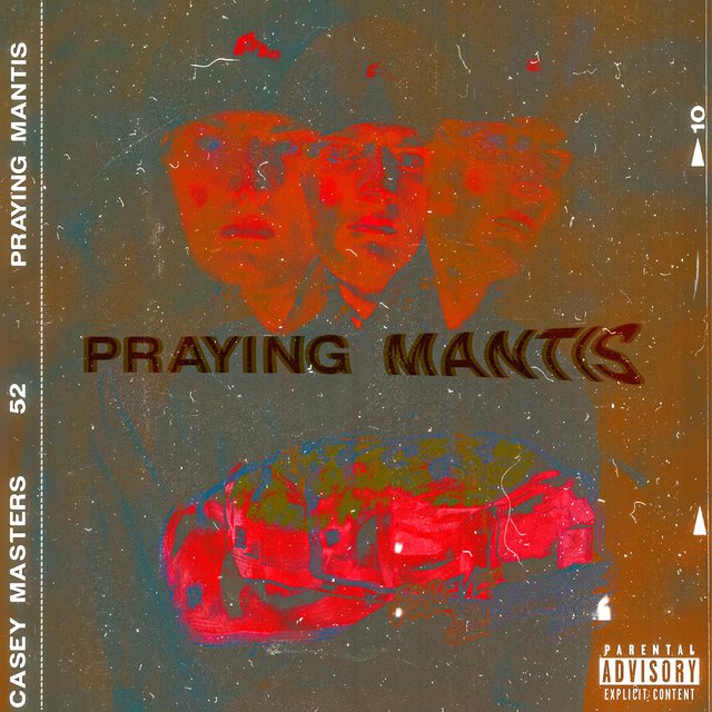 Praying Mantis