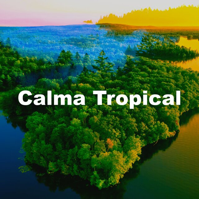 Calma Tropical