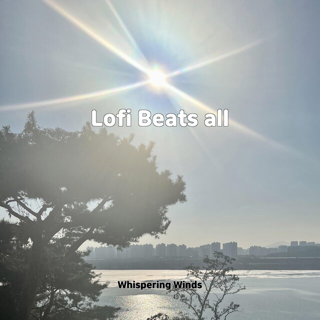 Lofi Beats all