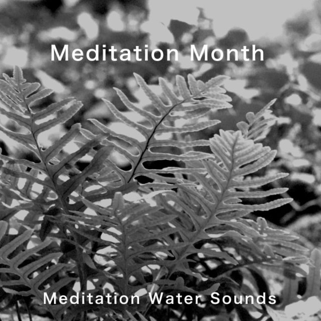 Meditation Month