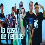 La Casa de Felinos, Vol.1