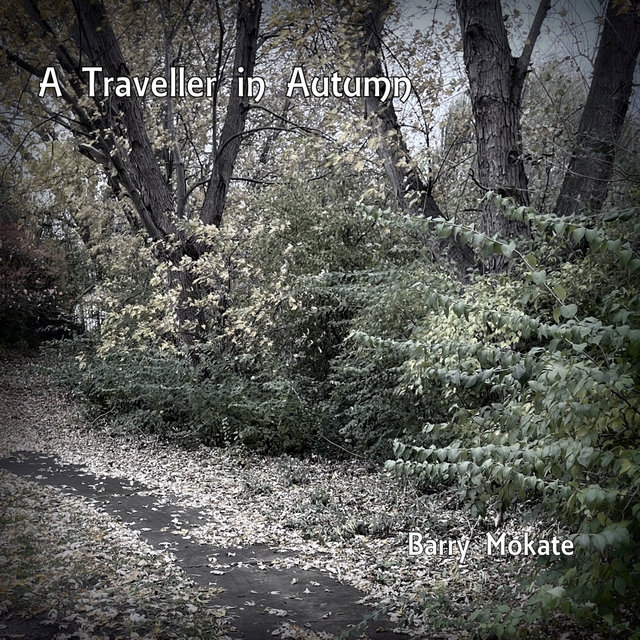 A Traveler in Autumn