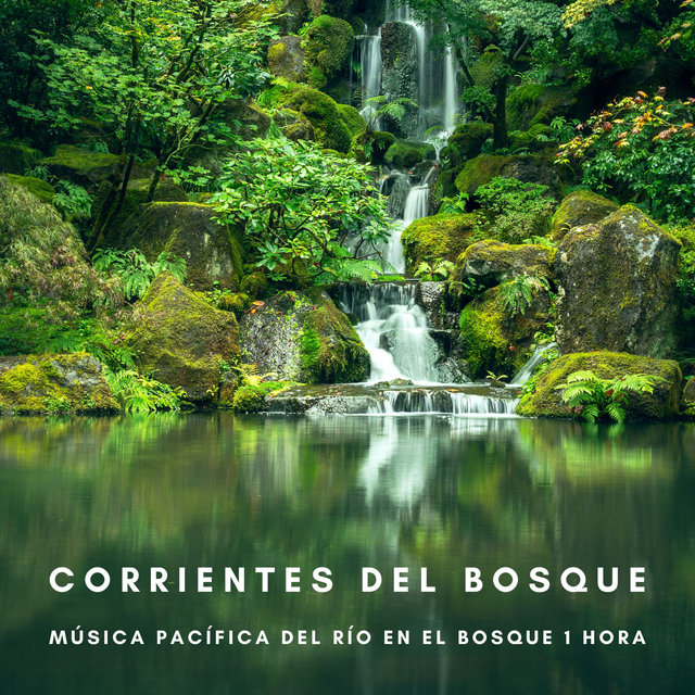 Corrientes Del Bosque: Música Pacífica Del Río En El Bosque 1 Hora