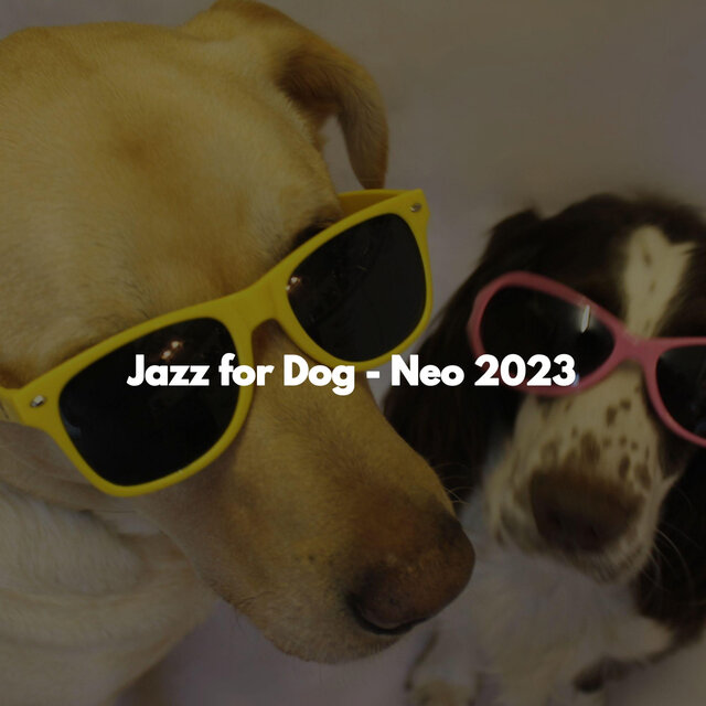 Jazz for Dog - Neo 2023