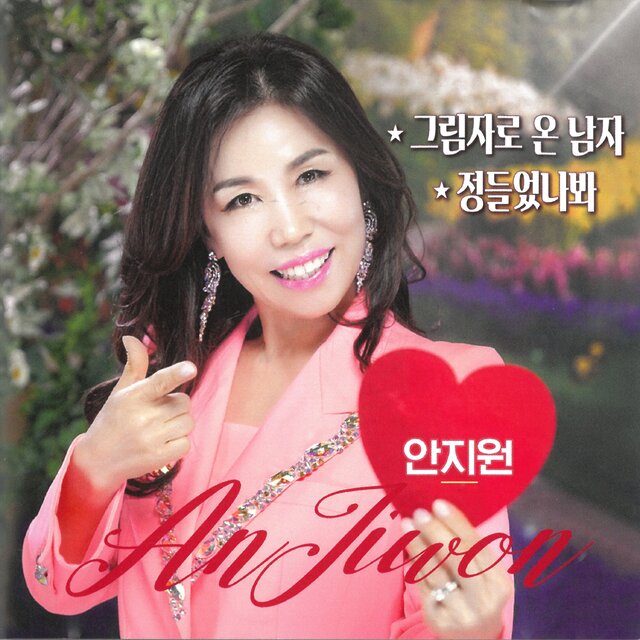 정들었나, 그림자로 온 남자