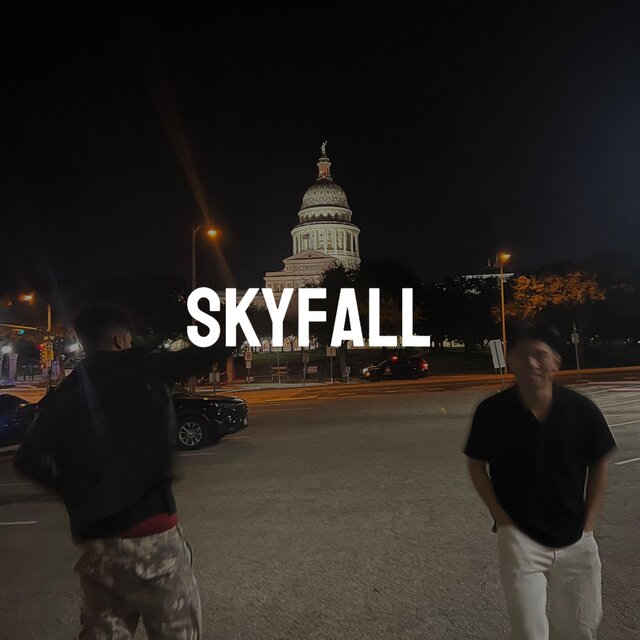 Skyfall (Forever Young)