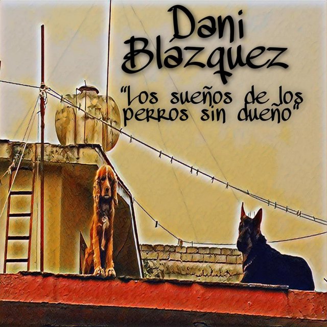 Los sueños de los perros sin dueño