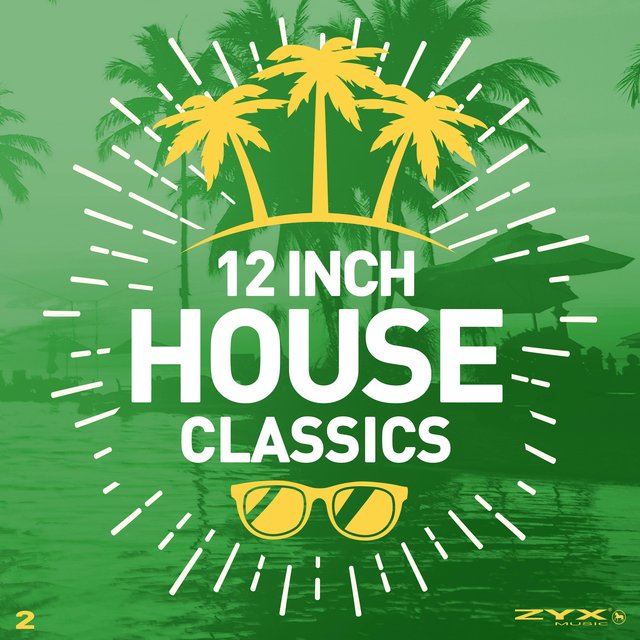 12 Inch House Classics Vol. 2