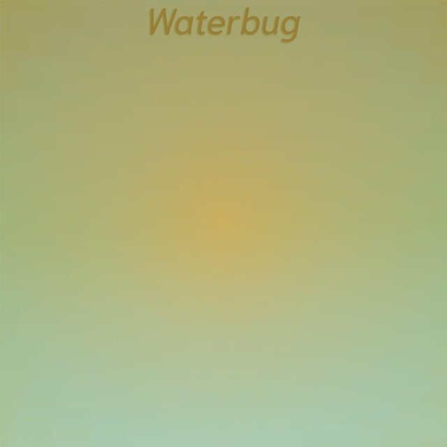 Waterbug