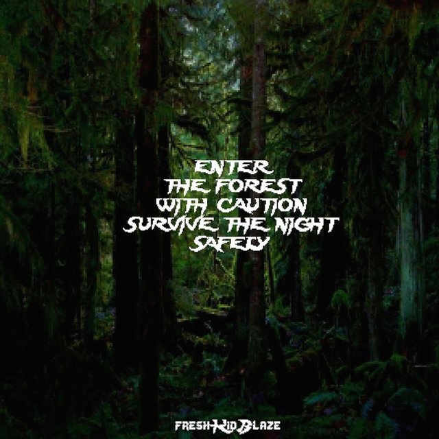 Enter the Forest with Caution Survive the Night Safely