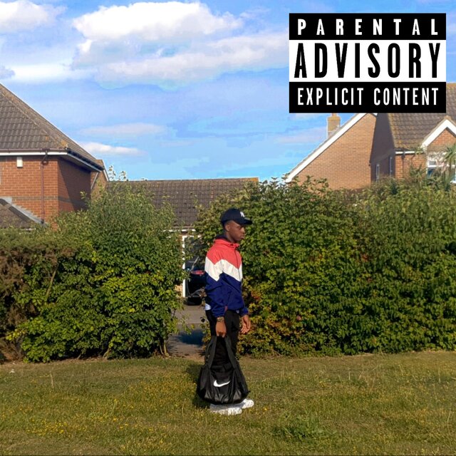 FALCON X