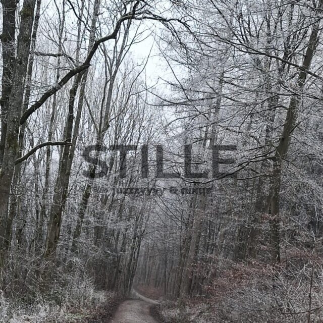 stille