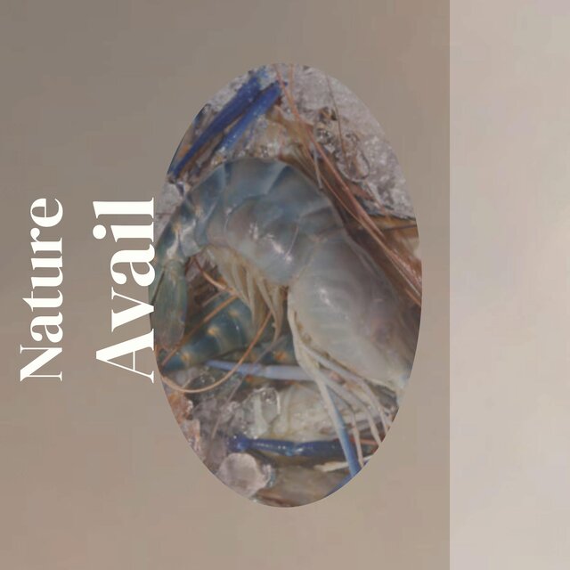 Nature Avail