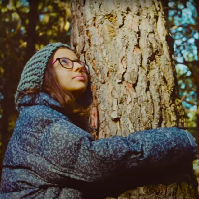 Sing For The Forest