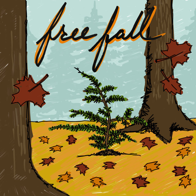 Free Fall