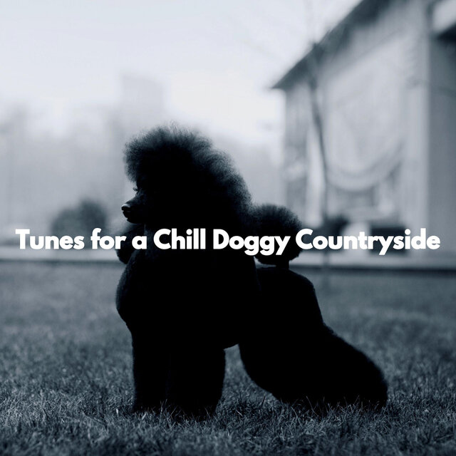 Tunes for a Chill Doggy Countryside