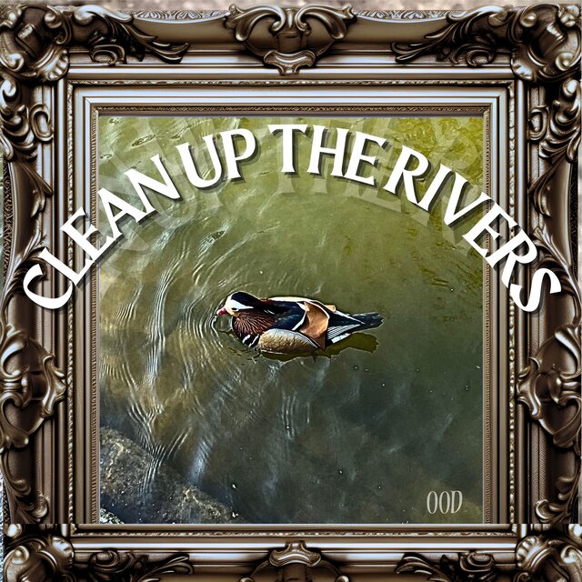 Clean up the Rivers