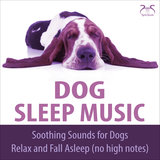 Piano Dogs Sleeping music & rain noise, falling asleep without high frequencies