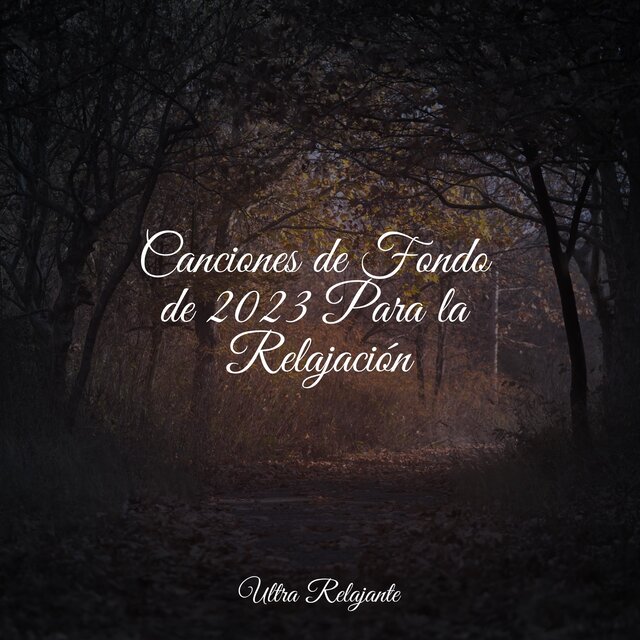 Canciones de Fondo de 2023 Para la Relajación