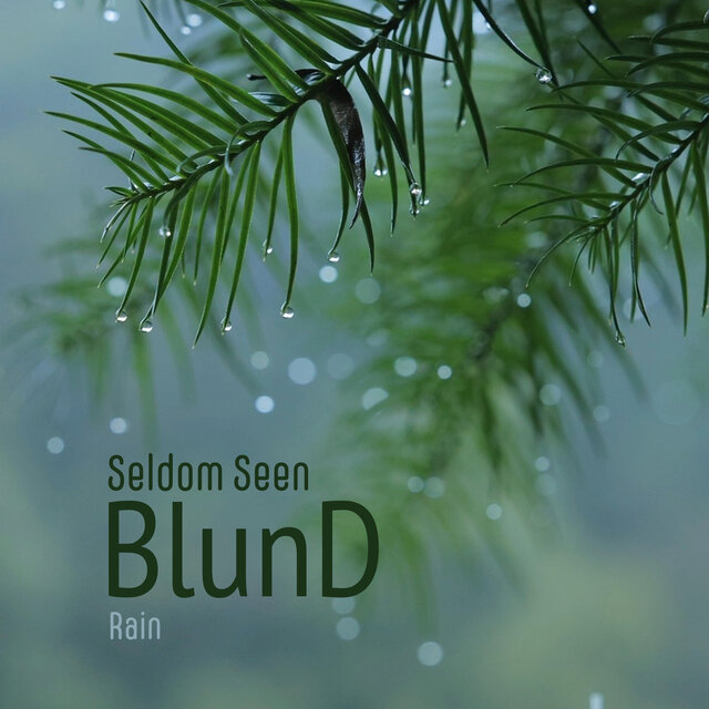 Seldom Seen (Rain)