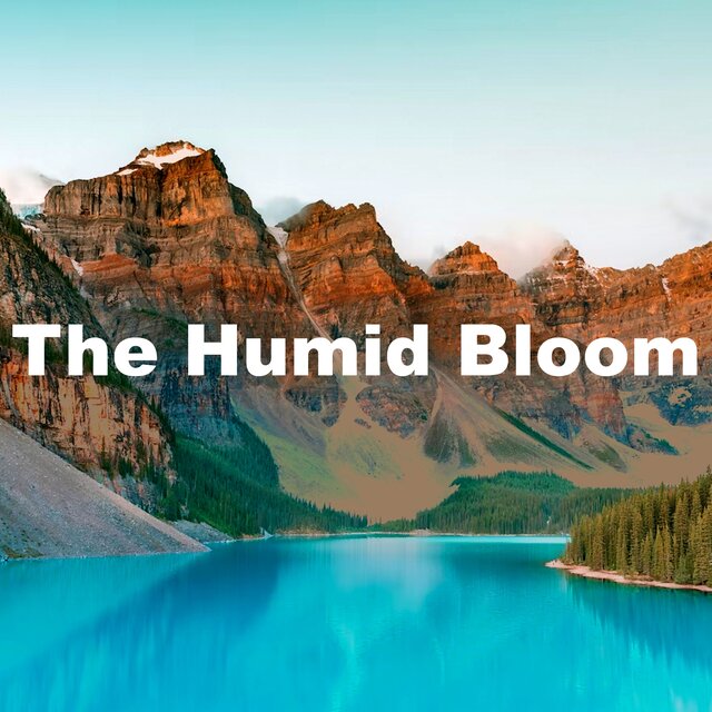 The Humid Bloom